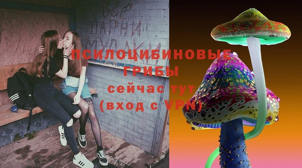 винт Абаза