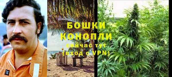 сатива Абдулино