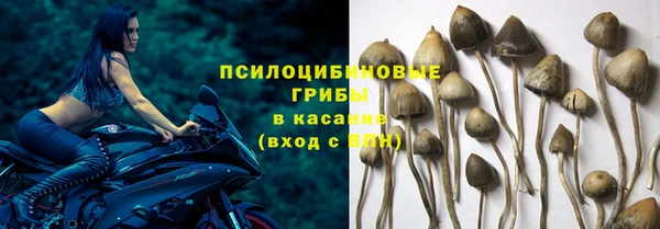 сатива Абдулино